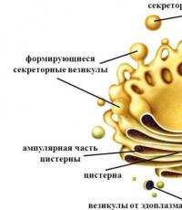 Enojne membranske strukture